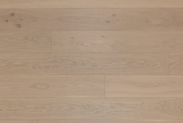 OAK MODENA